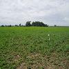 Soil Moisture Sensor in the Belle Fourche Irrigation District